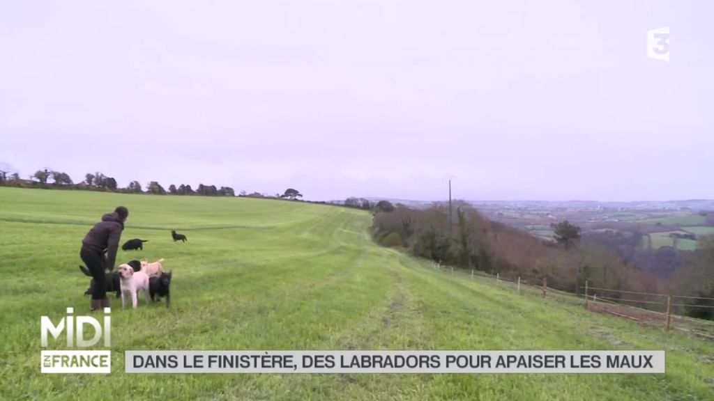 Un reportage de Midi en France sur notre élevage !